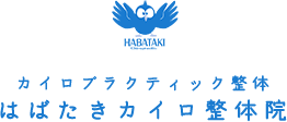 はばたきカイロ整体院